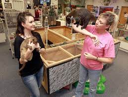 Hewitt Drive Store Has Success Offering Exotic Pets Services Business News Wacotribcom