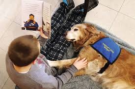 The emotional support cat is more than just a pet, but rather an animal that helps the person suffering from an emotional or mental disability cope/live a normal life. Library Waggin Train American Libraries Magazine
