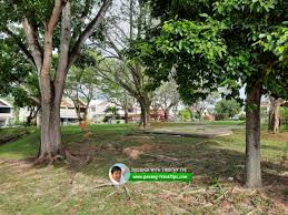The small town of teluk bahang has just a few small basic guesthouses and. Century Park Neighbourhood Park