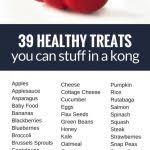 Click here for five healthy kong recipes your. 39 Healthy Treats You Can Stuff In A Kong Puppy Leaks
