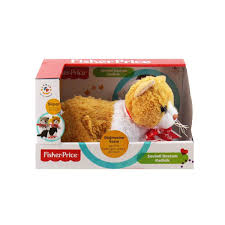 Fisher Price Pelus Yatan Kedi Sesli Gri