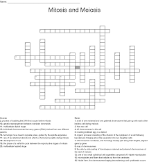 The gametes can then meet, during reproduction, and fuse to create a new zygote. Mitosis And Meiosis Crossword Wordmint
