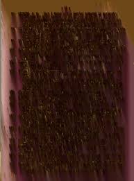 Bibliography on the poultry industry in countries other than Canada and the  United States