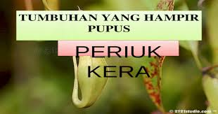 Mereka hidup menumpang dan menyerap saripati. Periuk Kera