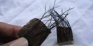 Maybe you would like to learn more about one of these? 6 Bentuk Jimat Yang Sering Dipakai Orang Indonesia Merdeka Com