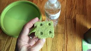How long does it take seeds to sprout in rockwool. How To Germinate Seeds Easy Way Using Rockwool Youtube