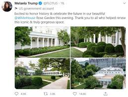 Beautifully arranged in a vase. Social Media Users Blast The Design Of The Newly Renovated White House Rose Garden As A Cemetery Daily Mail Online