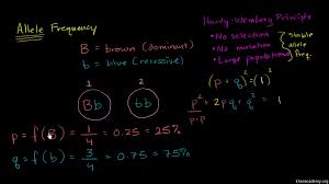 Abo blood group system, the classification of human blood based on the inherited properties of red blood cells (erythrocytes) as determined by the presence. Hardy Weinberg Equation For Equilibrium Video Khan Academy