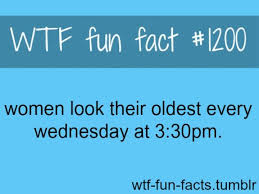 Well, one person's interesting fact might qualify as another's dull homework, and so interesting is clearly in the eye. Pin By Ashandra Corman On Weird Facts Wtf Fun Facts Fun Facts Funny Facts