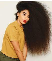 Jasmean Brown Long Brushed Out Curly Natural Hair Red Lip Curly Hair Styles Natural Hair Styles Curly Hair Styles Naturally