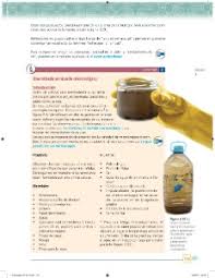 Matemáticas ciencias y tecnología biología paco el chato es una plataforma independiente que ofrece recursos de apoyo a los libros de texto de la sep y otras editoriales. La Celula Unidad Estructural De Los Seres Vivos Ayuda Para Tu Tarea De Ciencias Y Tecnologia Biologia Sep Secundaria Primero Respuestas Y Explicaciones