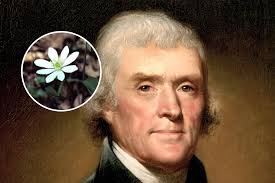 Thomas Jefferson Could Lose His Plant Over Slave Ownership