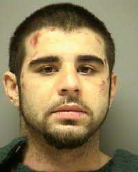 Alleged cop fighter faces 6 felonies