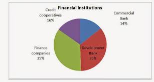 Strategy Choices And Impact Financial Industry Report Of Nepal