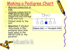 understanding a pedigree chart a family history of a genetic