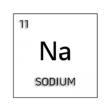 Black And White Element Cell For Sodium Science Fair Projects Science Fair Fair Projects