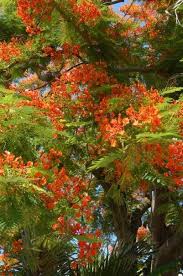 Check spelling or type a new query. Pin On Key West