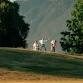 Bealby Point event image