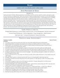 It should convey your skills, work experience and assets. Vice President Of Sales Resume Example Template For 2021 Zipjob