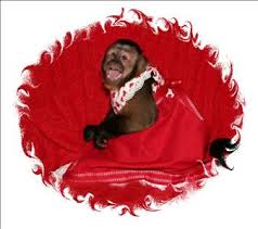 Leonard Schendowich Obituary (2008)