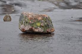 Maybe you would like to learn more about one of these? Himmelsgruss 2021 Meteorit Eingeschlagen Norwegen Service