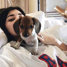 Kylie Jenner S New Puppy Penny Videos And Photos People Com
