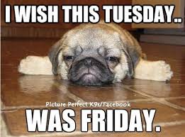 Funny tuesday memes and sayings. 46 Tuesday Ideas Tuesday Quotes Tuesday Humor Tuesday