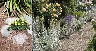 Easiest part is definitely the finish line for me. 5 Uses For Rocks In Your Landscape My Garden Life