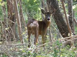 David tainton, lina englund, martin lindqvist and others. Vinterviken Stockholm 2021 All You Need To Know Before You Go With Photos Tripadvisor