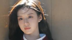 전시] `테리 보더