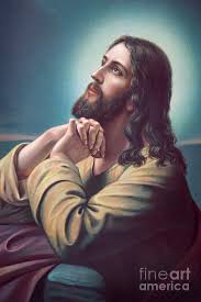 Jesus, praying in the garden of olives, begged god to release him from the terrible future that awaited him. The Prayer Of Jesus In The Gethsemane Garden Photograph By Jozef Sedmak
