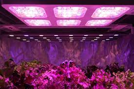 Check spelling or type a new query. Best Led Grow Lights Review How To Choose