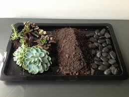 How To Make Your Own Terrarium The Interiors Addict