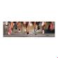 Riverstone Mall Run 2026