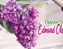 Maybe you would like to learn more about one of these? The 9 Best Options For Flower Delivery In Ann Arbor Michigan 2021