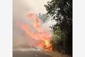 Per questo l'incendio, quasi certamente doloso, che ieri pomeriggio ha distrutto o. Incendi Ancora Fiamme In Sardegna Oggi Bollino Rosso Tiscali Notizie