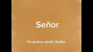 Yo Quiero Sentir #pista Nación Santa #karaoke