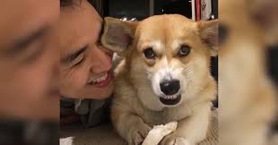 Dog Doesn't Want To Share