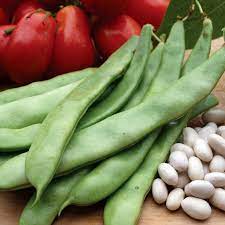 Bean Italian Romano The Diggers Club