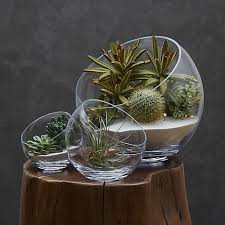 Tilt 11 Large Bowl Reviews Crate And Barrel Vintage Garden Decor Succulent Terrarium Air Plant Terrarium