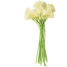 We did not find results for: 18x Artificial Calla Lily Flowers Single Long Stem Bouquet Real Home Decor Color Creamy Artificial Dried Flowers Aliexpress