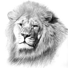 Check spelling or type a new query. Lion Tattoo Meanings Tribal Lioness Symbol