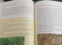 Busca tu tarea de historia quinto grado: Un Resumen De La Pagina 114 Y 115 Del Libro De Geografia Quinto Grado Brainly Lat
