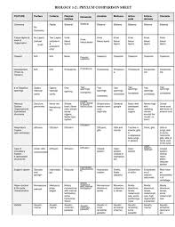 67 Meticulous Phylum Comparison Chart Key