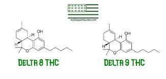 We did not find results for: Delta 8 Thc Amazing Cannabinoid You Need To Know About