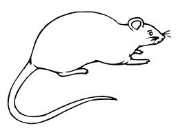 You can search several different ways, depending on what information you have available to enter in the site's search bar. Free Printable Rat Coloring Pages For Kids