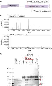 People in these communities can have extra challenges with cancer care, such as having to travel for tests or treatment. Integration Of Two In Depth Quantitative Proteomics Approaches Determines The Kallikrein Related Peptidase 7 Klk7 Degradome In Ovarian Cancer Cell Secretome Molecular Cellular Proteomics