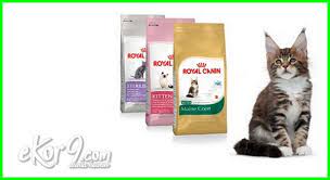 Kamu harus berhati dalam memilah makan untuk setiap kucing terutama untuk makanan kucing persia kenapa? 10 Merk Makanan Kucing Terbaik Yang Paling Laris Dan Berkualitas Di Dunia Ekor9 Com Ekor9 Com