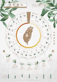 茶葉資訊圖海報 poster design book design data visualization design