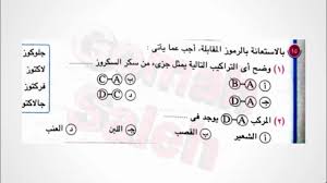 اجابة اسئلة كتاب الامتحان 2020 أحياء اولى ثانوى الدرس الأول Youtube